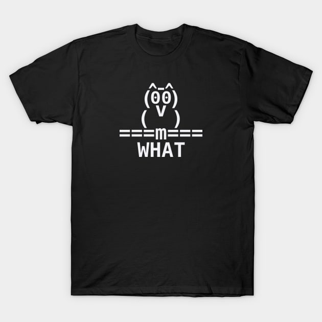 Ascii Owl T-Shirt by Aunt Choppy